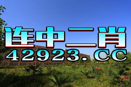 怎么看一句玄机料,一句中的智慧密码