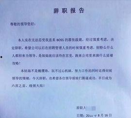 网红民警辞职报告,揭秘背后原因与心路历程