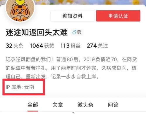 如何显示头条ip,轻松掌握信息追踪技巧
