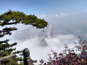 哪位明星爱登山,跟随XXX的登山之旅