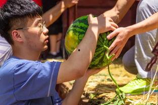 厦门大学吃瓜,吃瓜群众的味蕾盛宴