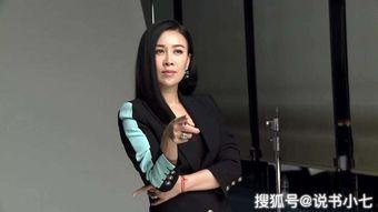 那英是不是明星,华语乐坛的璀璨明星