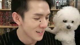 骏姓明星,骏姓明星闪耀娱乐圈