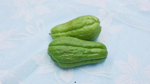 女性吃佛手瓜,佛手瓜美食之旅