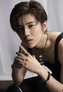 zwx明星,闪耀舞台，魅力无限