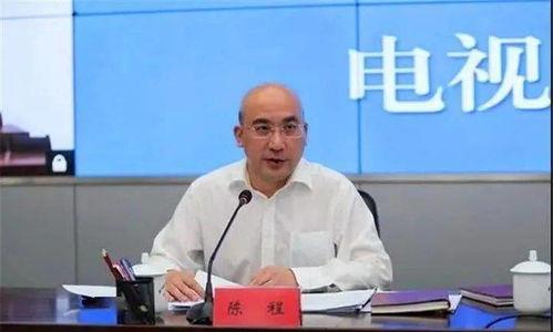 陈程红网新宁,聚焦新宁发展，共话乡村振兴