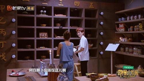 明星学霸对话综艺,智慧火花碰撞综艺现场