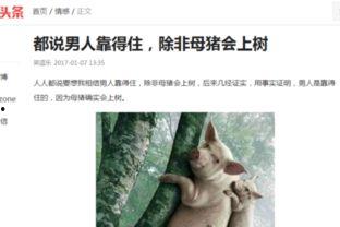 搞笑领域头条怎么写,笑料百出，欢乐无限