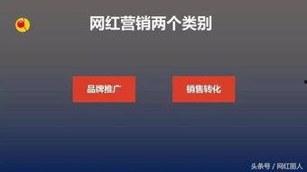 网红直播营销管理,策略与实践解析