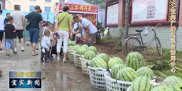 沈丘沙河吃瓜视频,沈丘沙河吃瓜视频引发网友热议