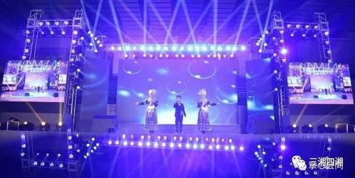 男明星演唱会同款,演唱会同款男明星风采再现