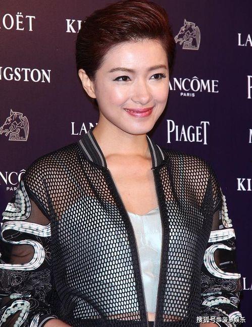 来自湖南衡阳的明星,揭秘湖南衡阳籍明星的璀璨人生