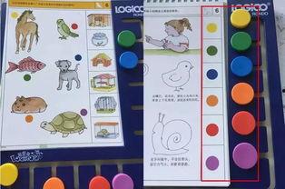 网红逻辑狗,揭秘网络红人的崛起之路