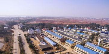 今日沙湖路头条,聚焦最新动态，解码区域发展新篇章