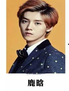 姓张男明星名字大全,盘点娱乐圈中的璀璨星辰