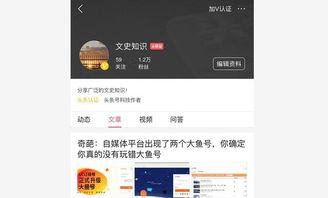 手机头条号哪个领域最好,哪个领域最受欢迎，一文读懂热门趋势