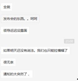 南京锤子爆料案件最新,真相与争议交织的科技圈悬疑剧