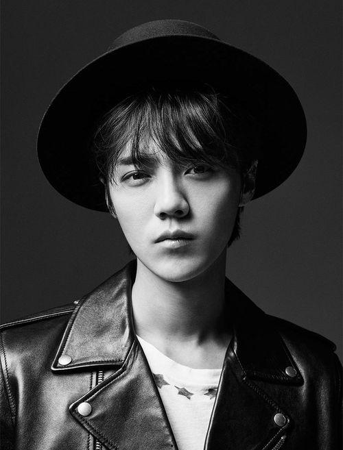 stb明星,揭秘明星背后的故事与辉煌成就